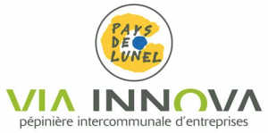 logo-Via-Innova