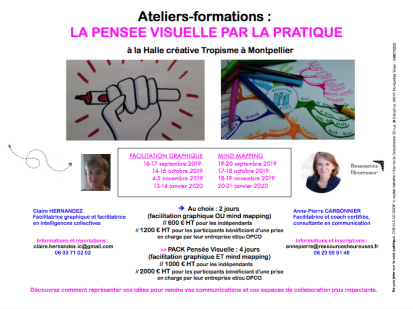 formation-pensee-visuelle-mind-mapping-facilitation-graphique